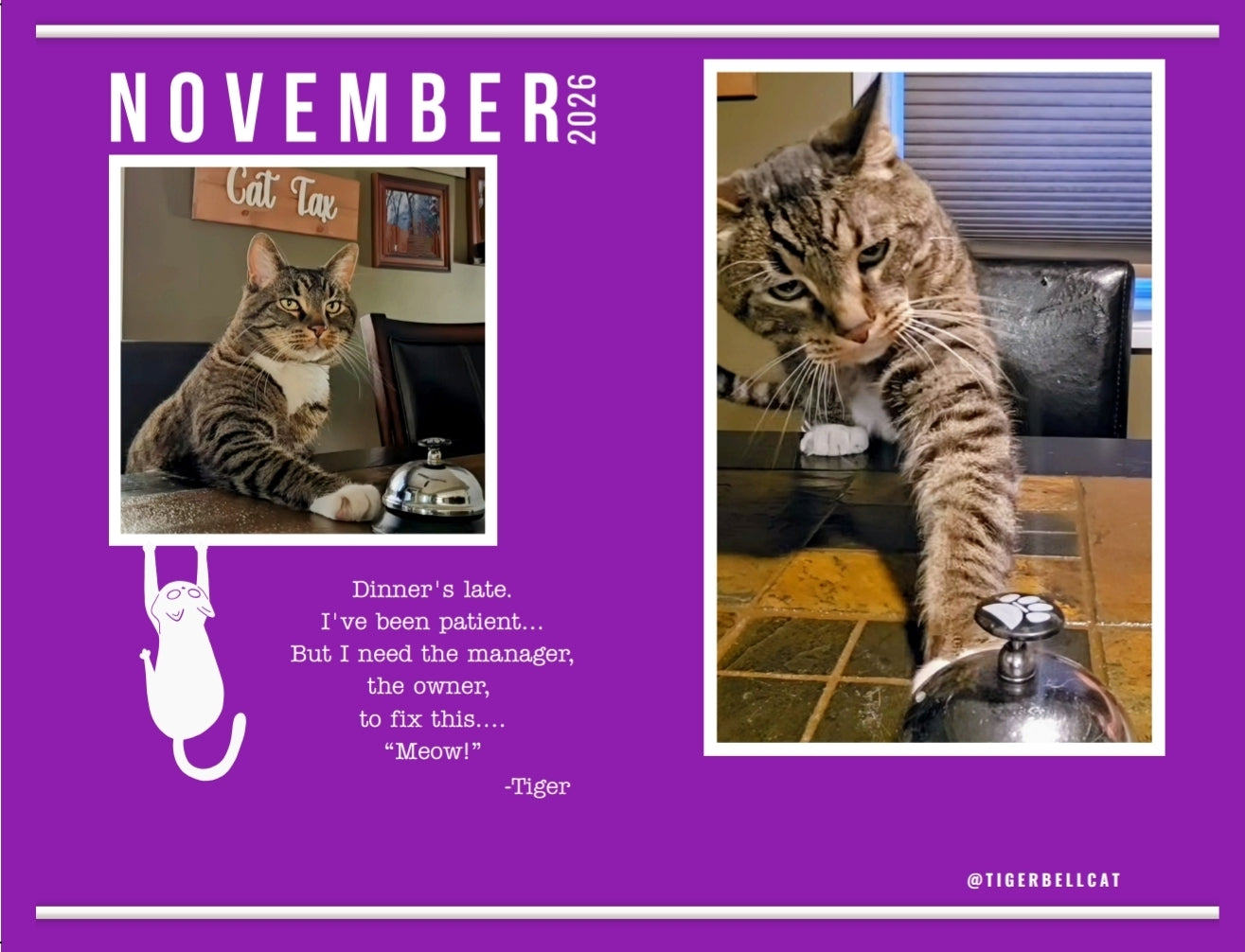 BLACK FRIDAY 🚨🐾 Tiger Bell Cat's Calendar 2026