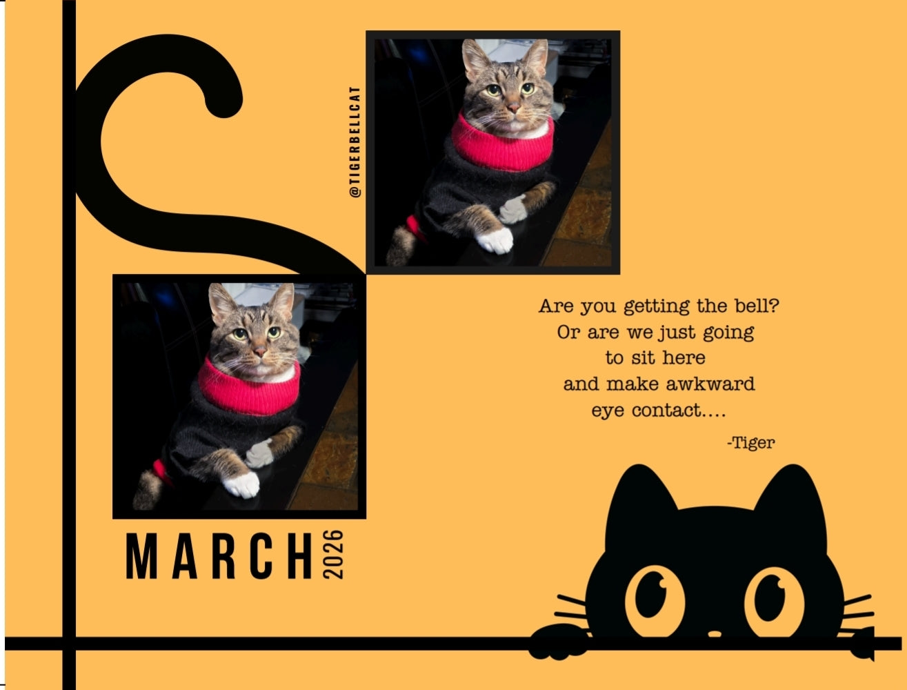 BLACK FRIDAY 🚨🐾 Tiger Bell Cat's Calendar 2026