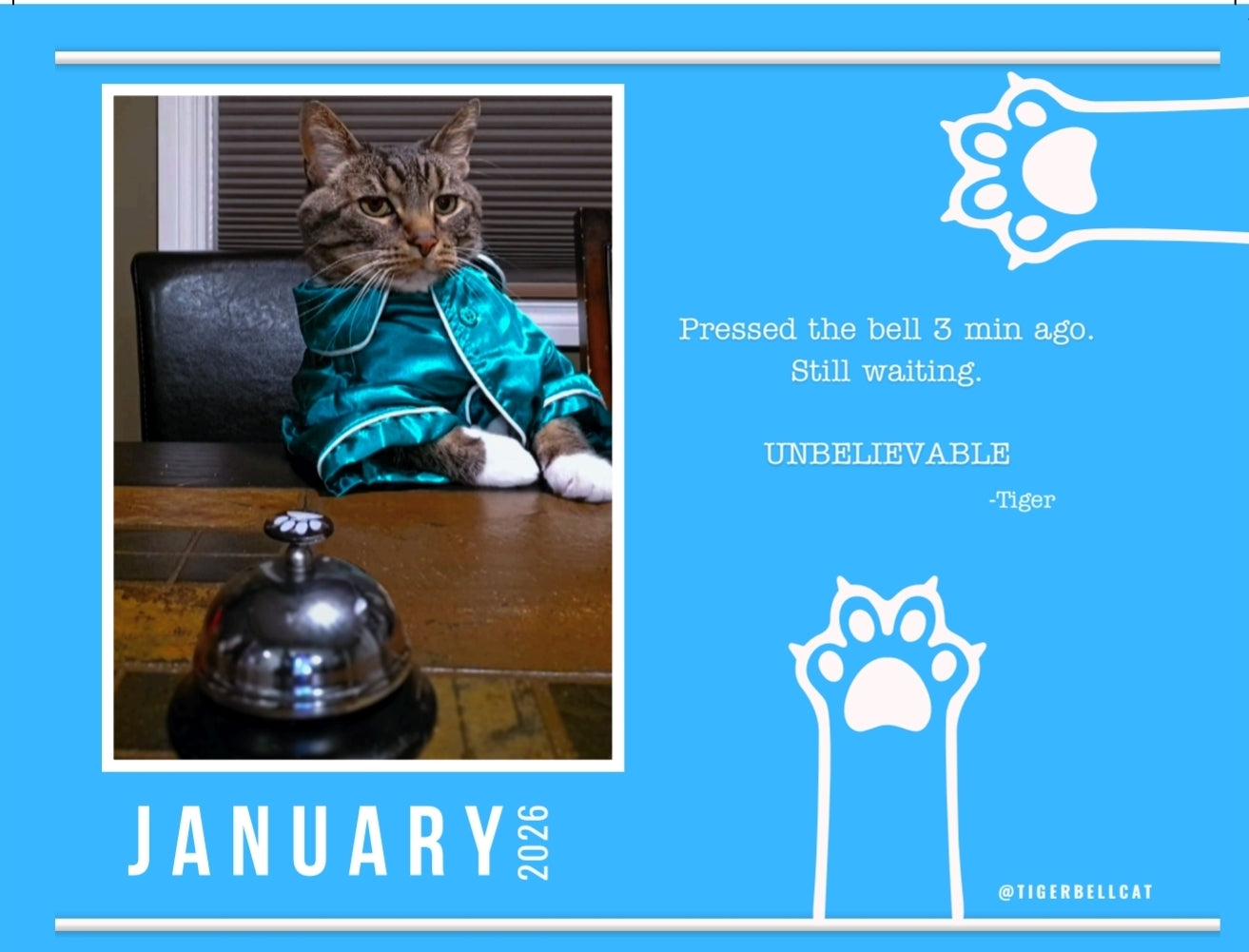 BLACK FRIDAY 🚨🐾 Tiger Bell Cat's Calendar 2026