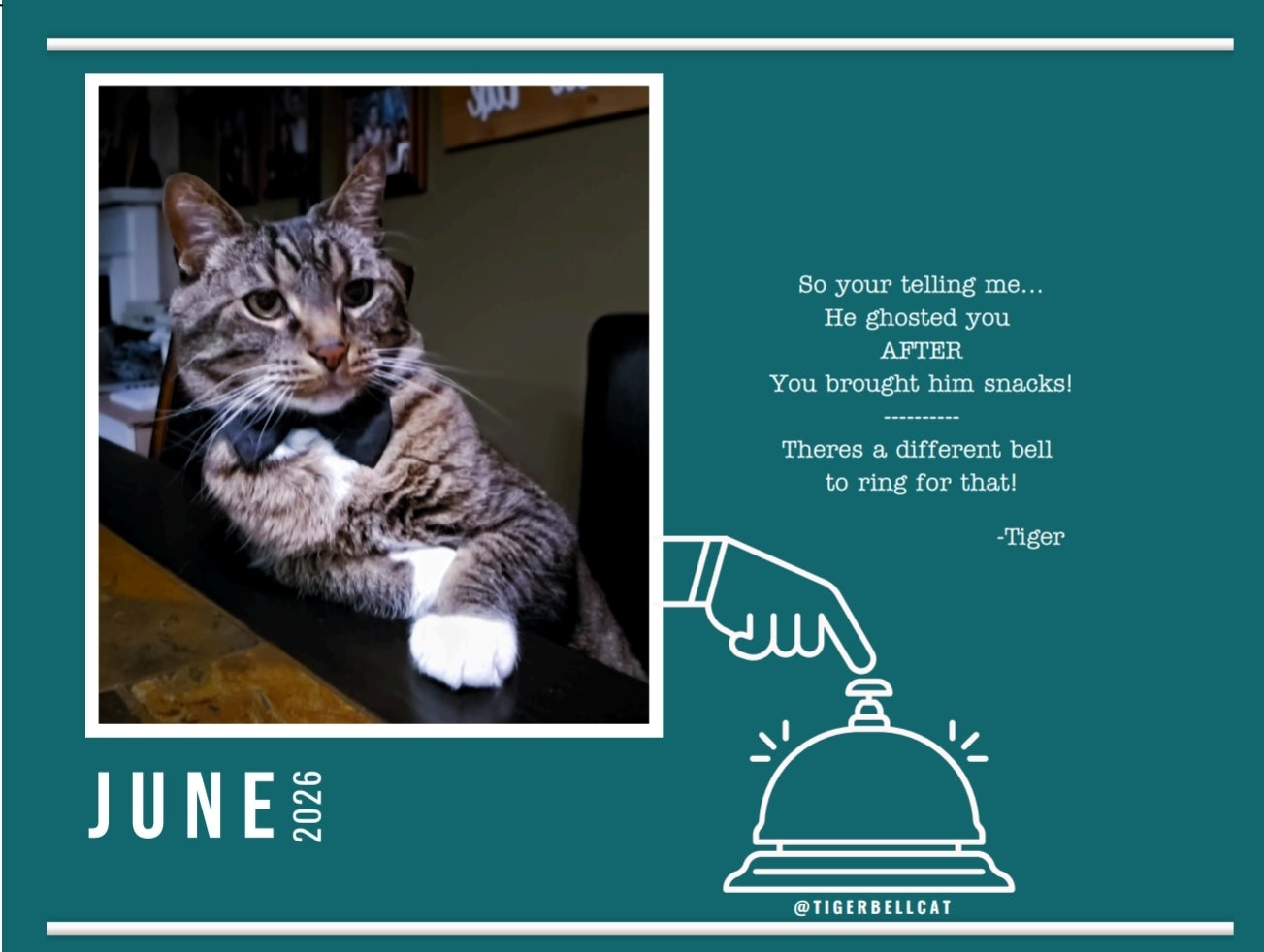 BLACK FRIDAY 🚨🐾 Tiger Bell Cat's Calendar 2026