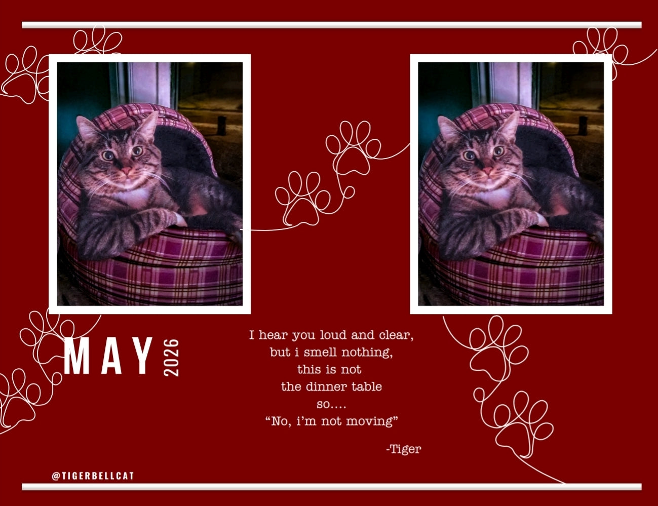 BLACK FRIDAY 🚨🐾 Tiger Bell Cat's Calendar 2026