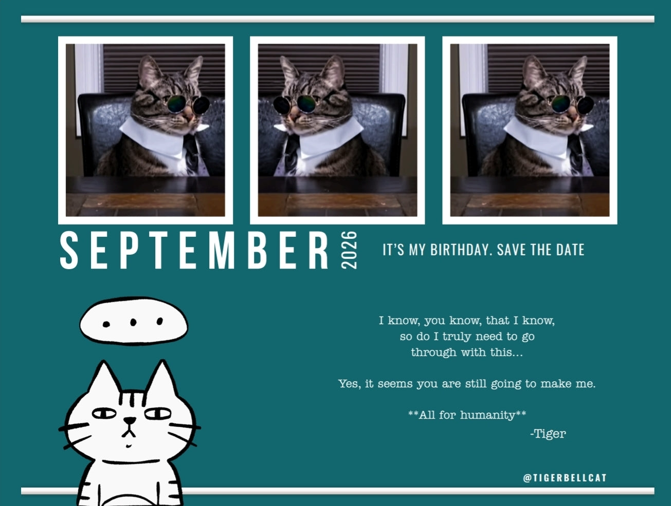 BLACK FRIDAY 🚨🐾 Tiger Bell Cat's Calendar 2026