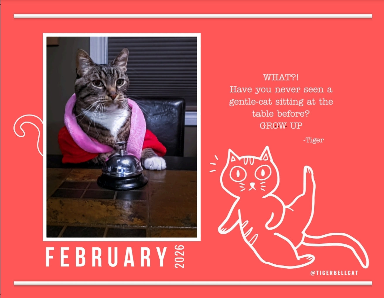 BLACK FRIDAY 🚨🐾 Tiger Bell Cat's Calendar 2026